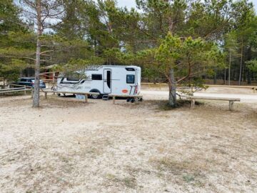 95133605_220875402671307_1093700906391699456_o